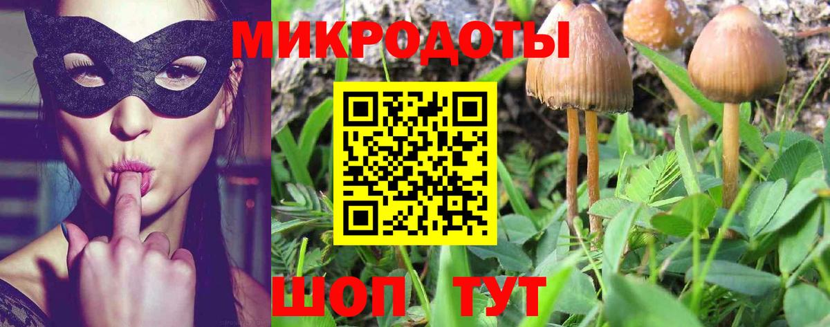 Псилоцибиновые грибы Cubensis Армавир