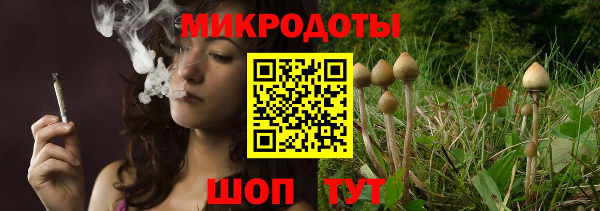 Армавир  Галлюциногенные грибы ЛСД  что такое наркотик  Вход с VPN 